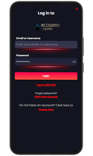 Enter your email and password Incognito