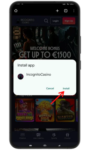The final step of installation Incognito
